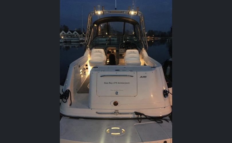 Sea Ray 275 Amberjack-kuva-4